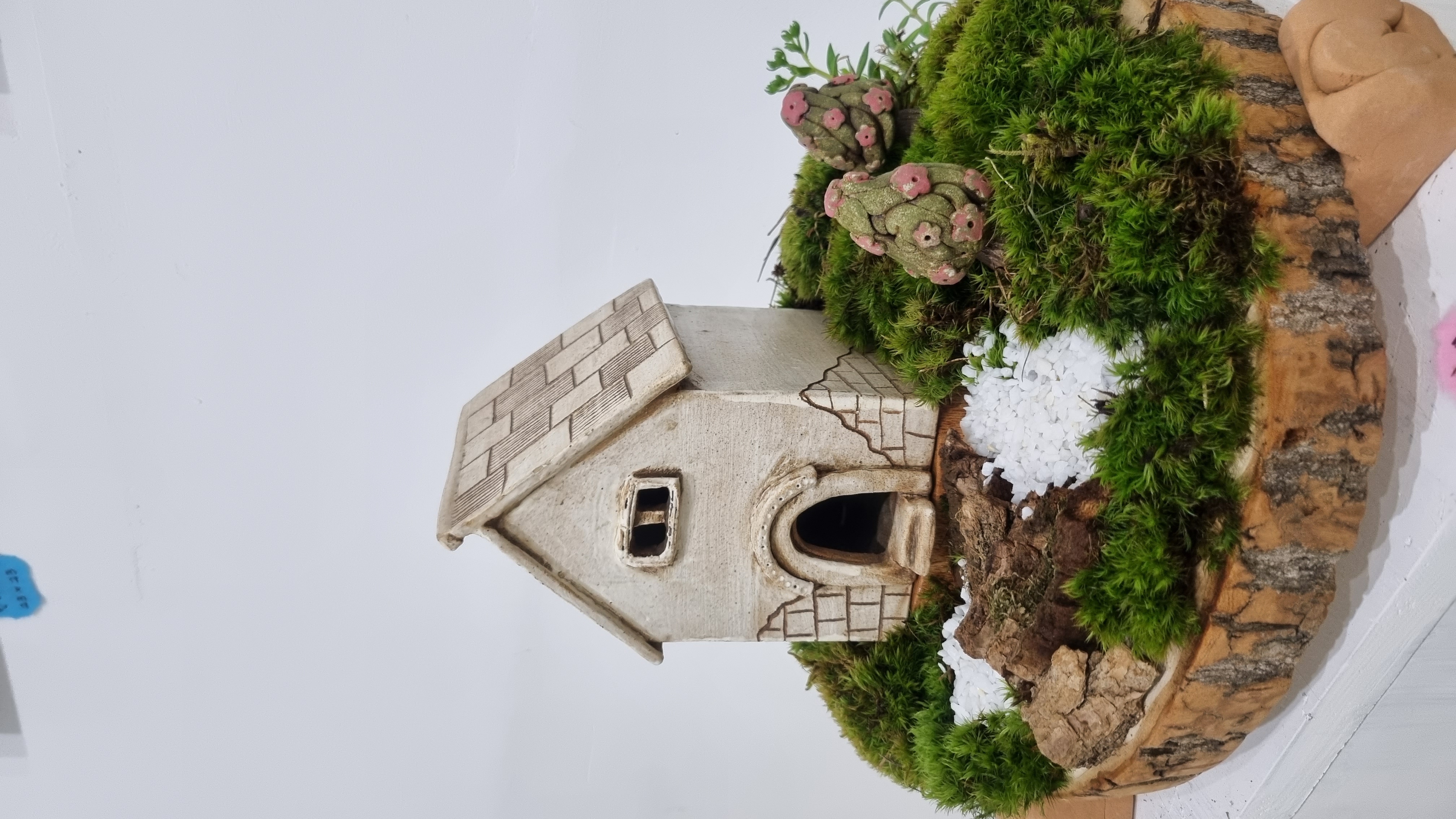 Miniature house terrarium