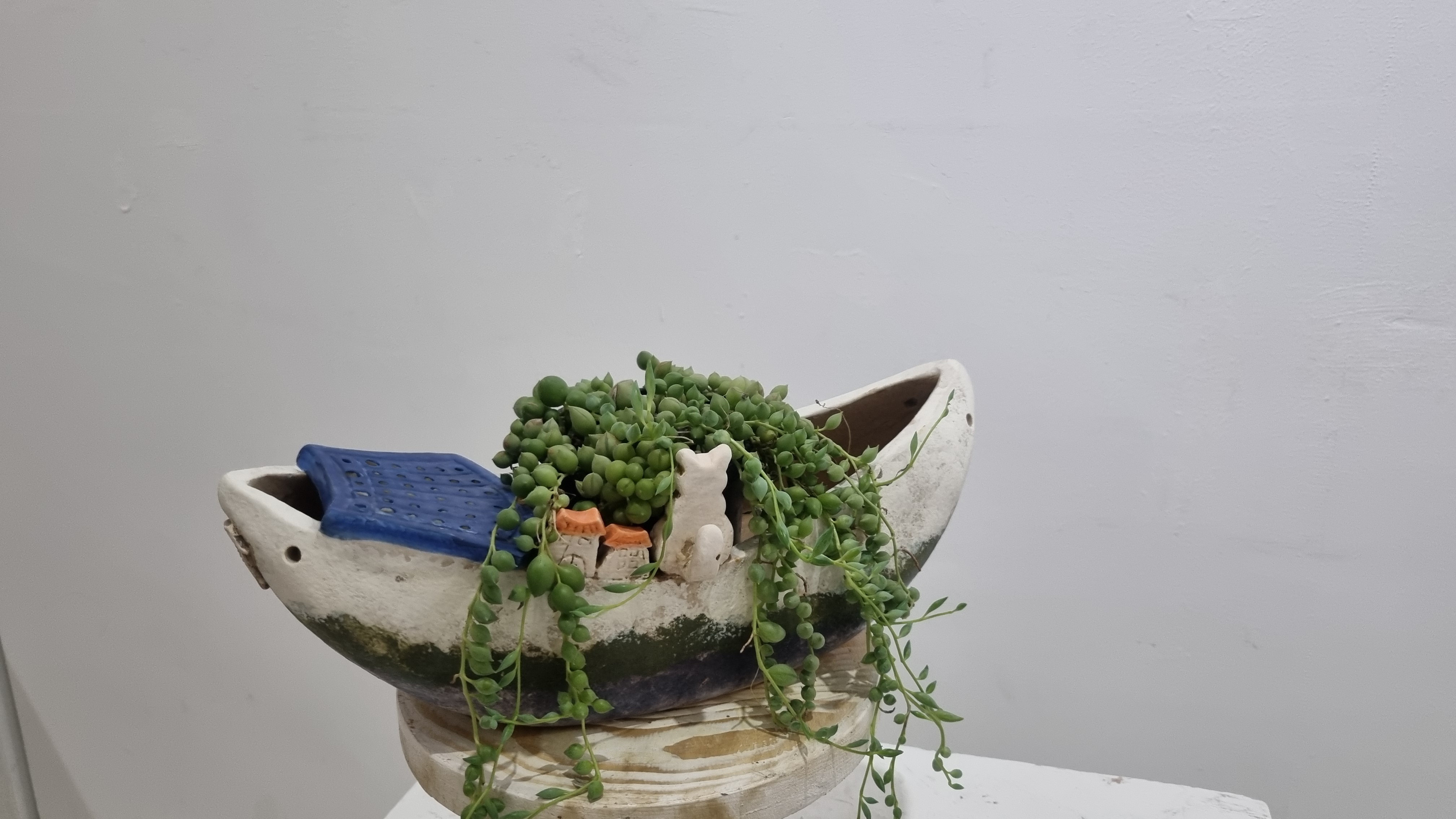 Boat-shaped ceramic planter with succulents