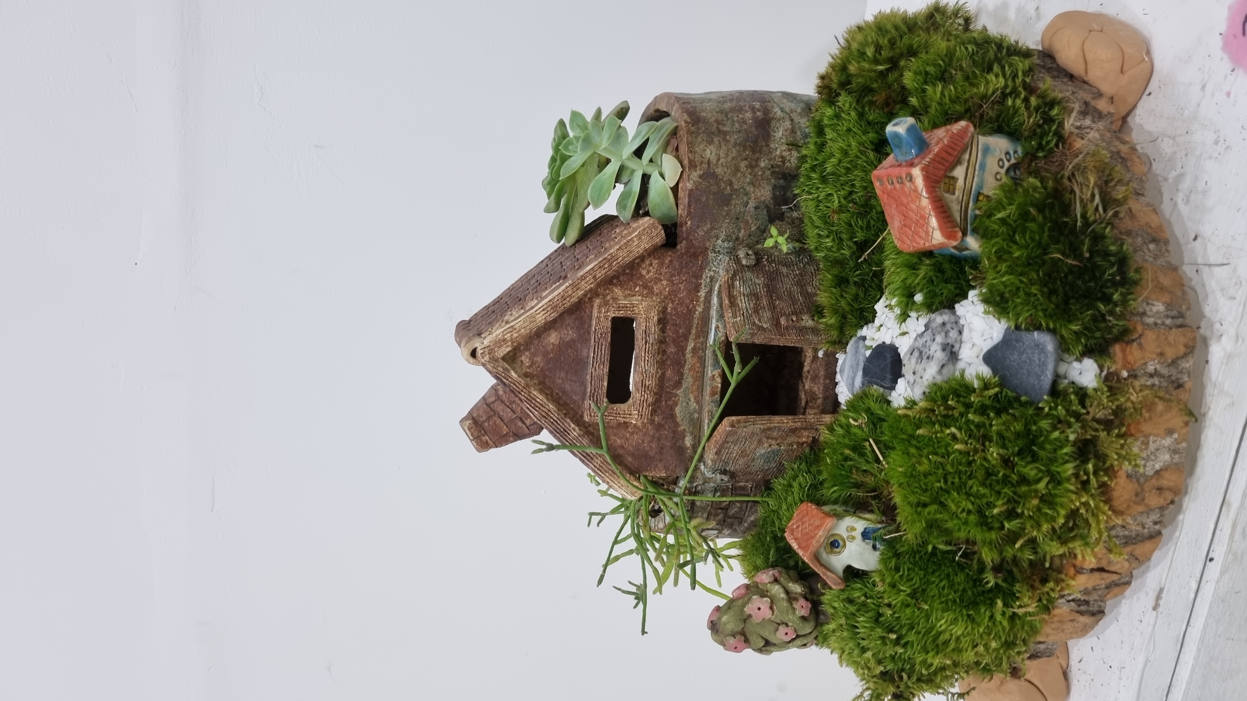 Rustic house terrarium with moss